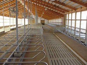 5_Freestall