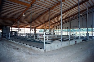 Chapmanbros.farms