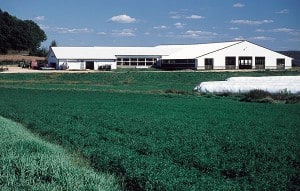 Chapman_Bros._Farm
