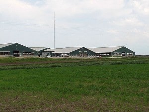 Daleyfarms