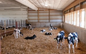 Gav-N-View Farms Interior