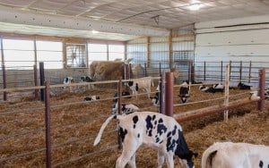 Gav-N-View Farms Interior
