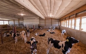 Gav-N-View Farms Interior