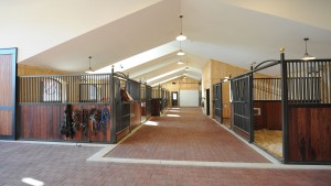 Mathy-Equestrian-4 Mathy-Equestrian-4