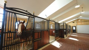Mathy-Equestrian-5 Mathy-Equestrian-5