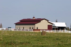Morey_Farms