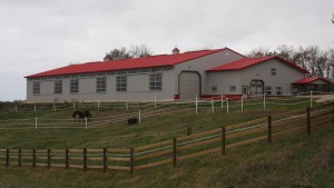 Morgan-Equestrian-1