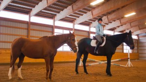 Morgan-Equestrian-2