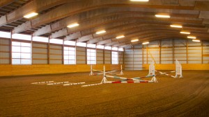 Morgan-Equestrian-3