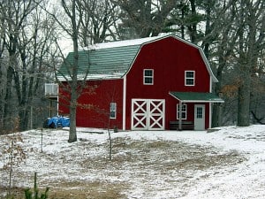 Palmer