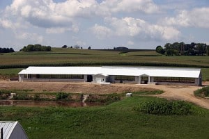 Ripps_Dairy_Valley