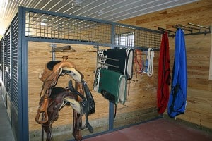 Saddles_Eps