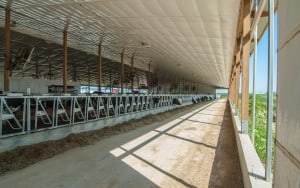 Sobek_Interior_1-1