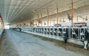Sobek_Interior_2-1