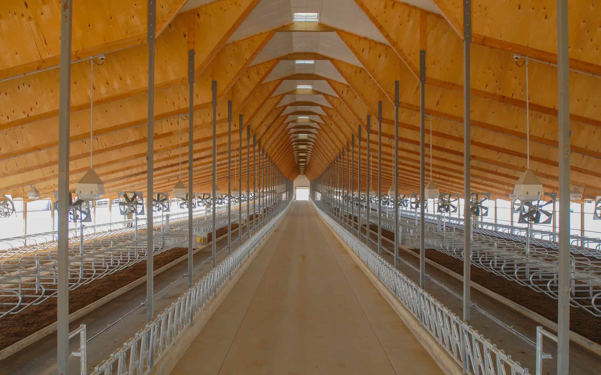 Statz_Freestall_Interior_1-1 Statz_Freestall_Interior_1-1