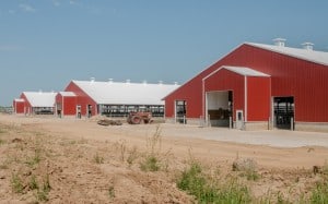 Statz_Freestalls_West_End-1 Statz_Freestalls_West_End-1