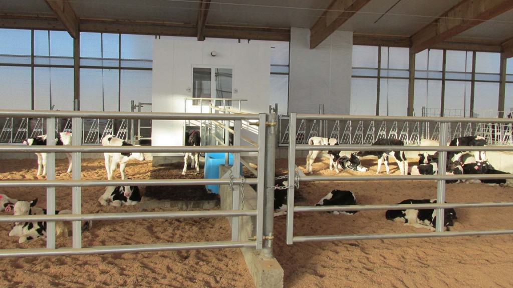 Chapman-Farms-2