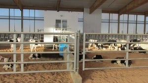 Chapman-Farms-2