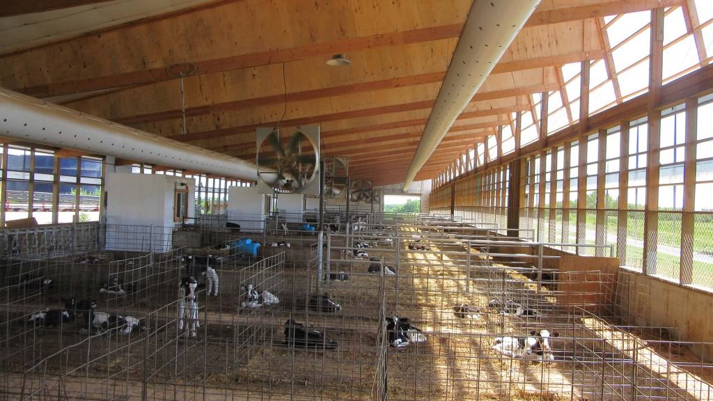 Chapman-Farms-4