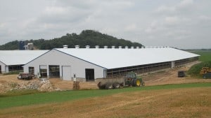 Chapman-Freestall-1