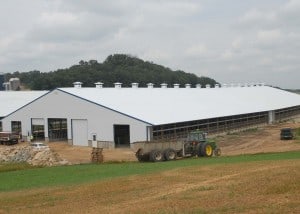 Chapman Freestall 1