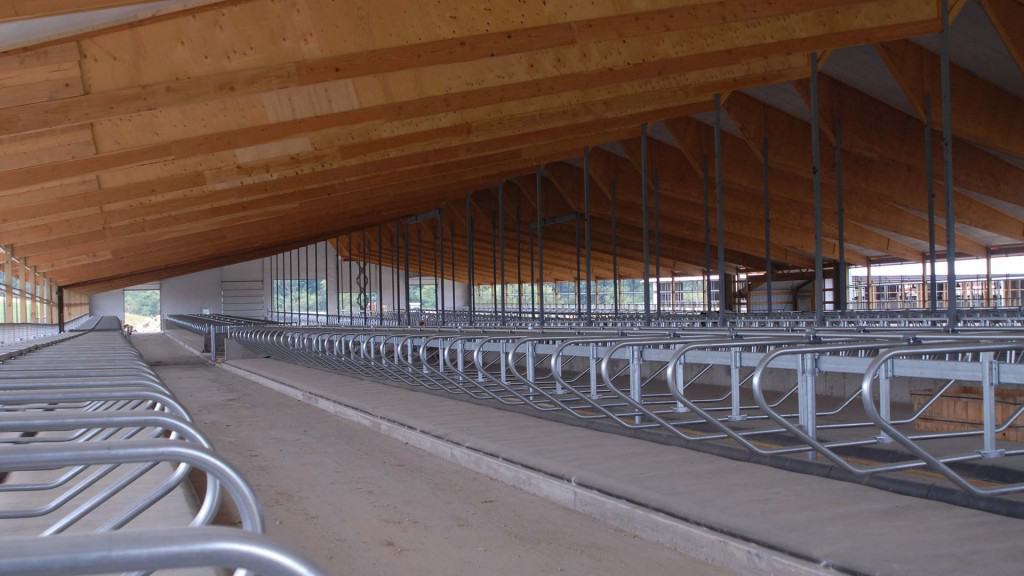 Chapman-Freestall-2