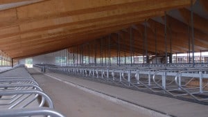 Chapman-Freestall-2