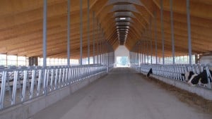 Chapman-Freestall-3