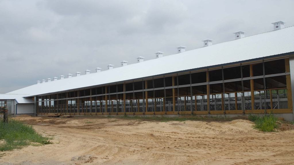 Chapman-Freestall-4