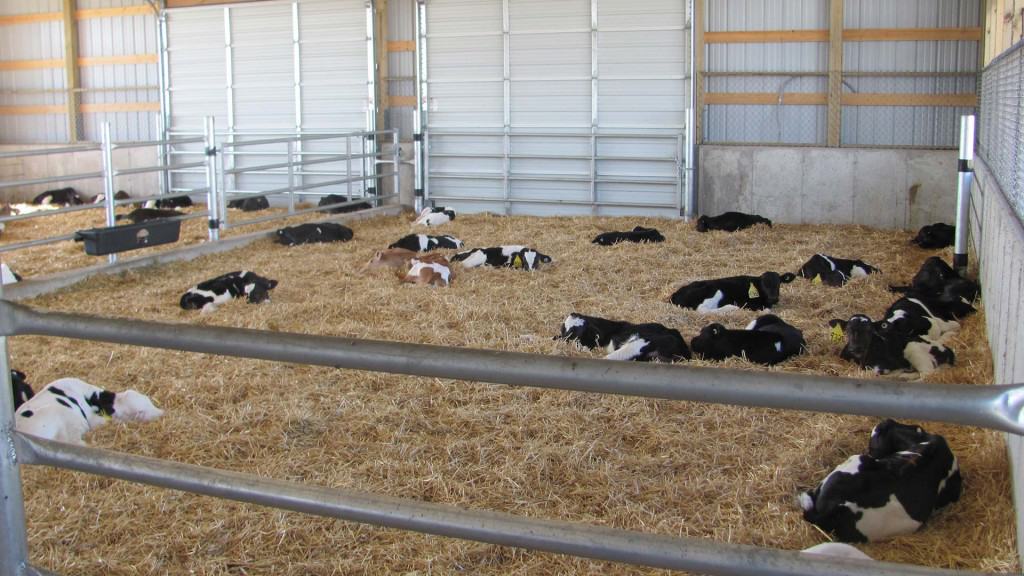 Endres-Dairy-2
