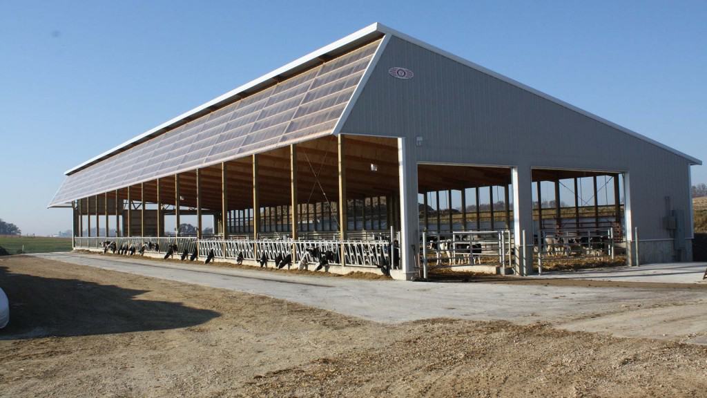 Ripp-Dairy-Valley-1
