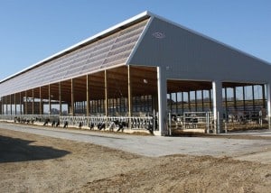 Ripp Dairy Valley 1