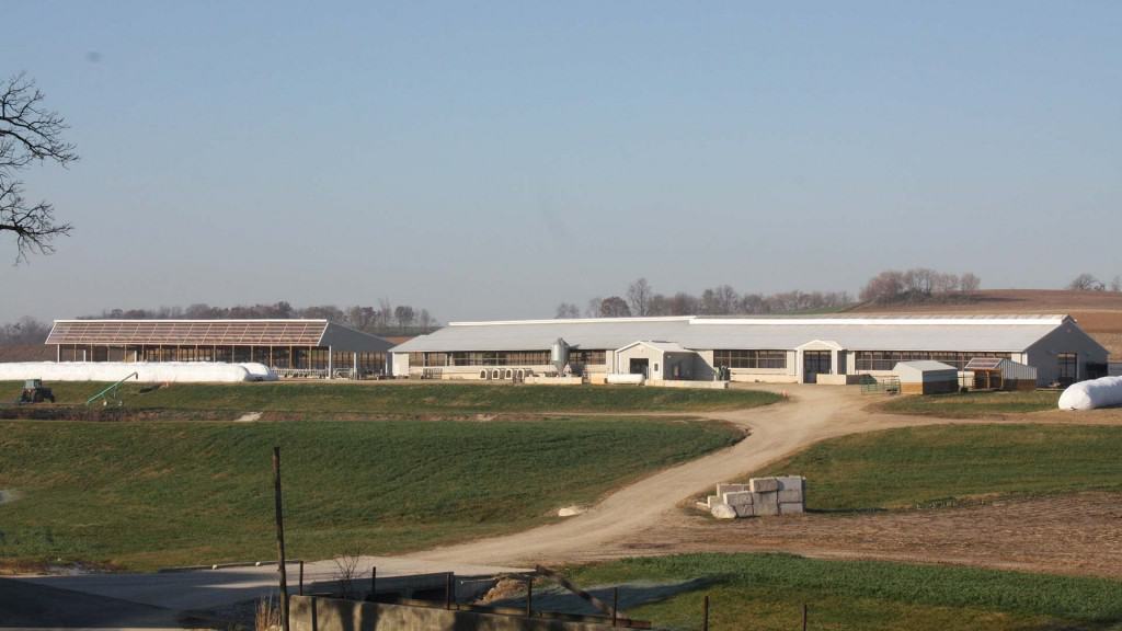 Ripp-Dairy-Valley-2